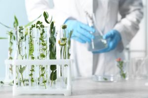 AdobeStock_298514713