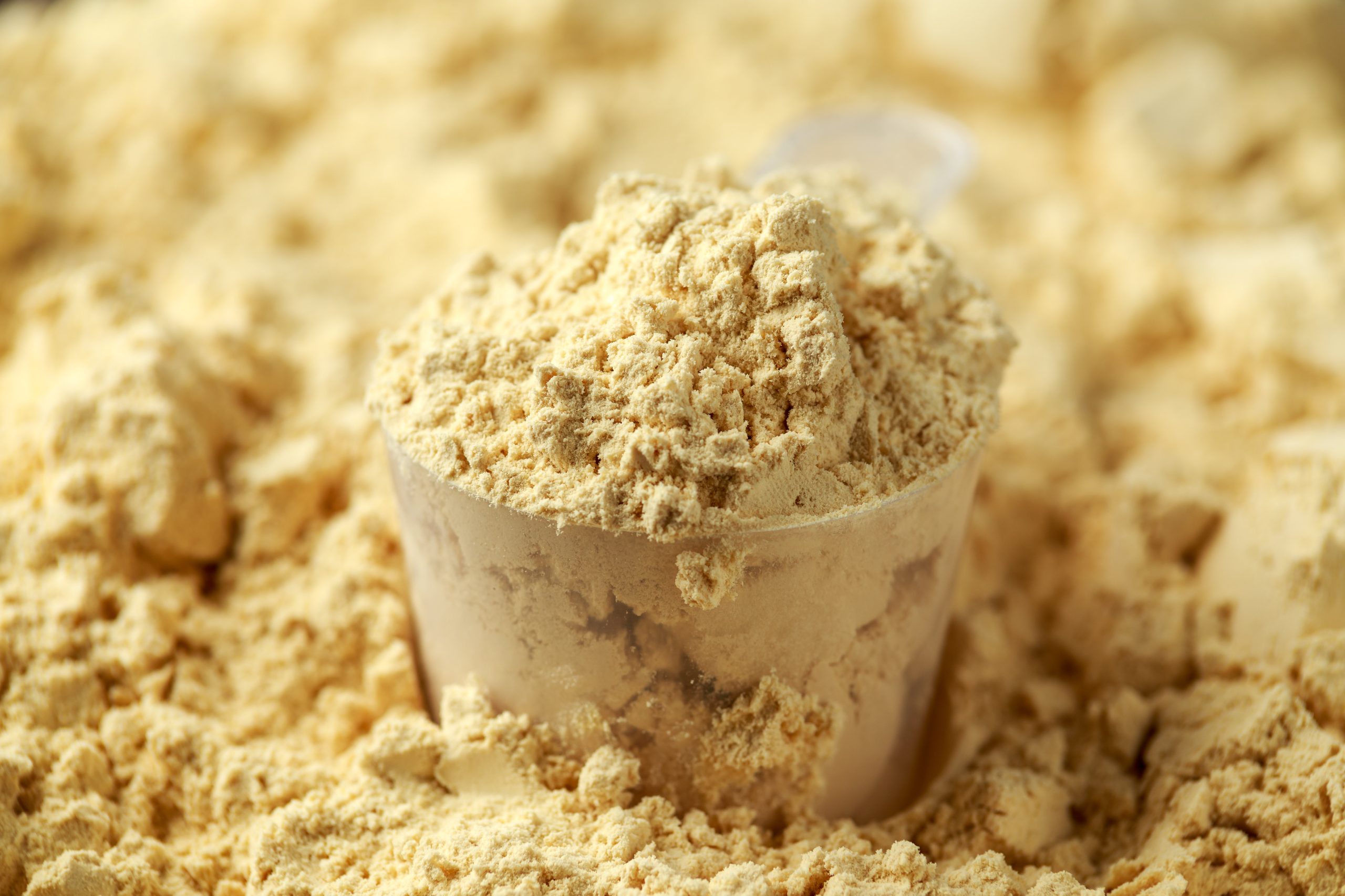 Powder Food Supplement